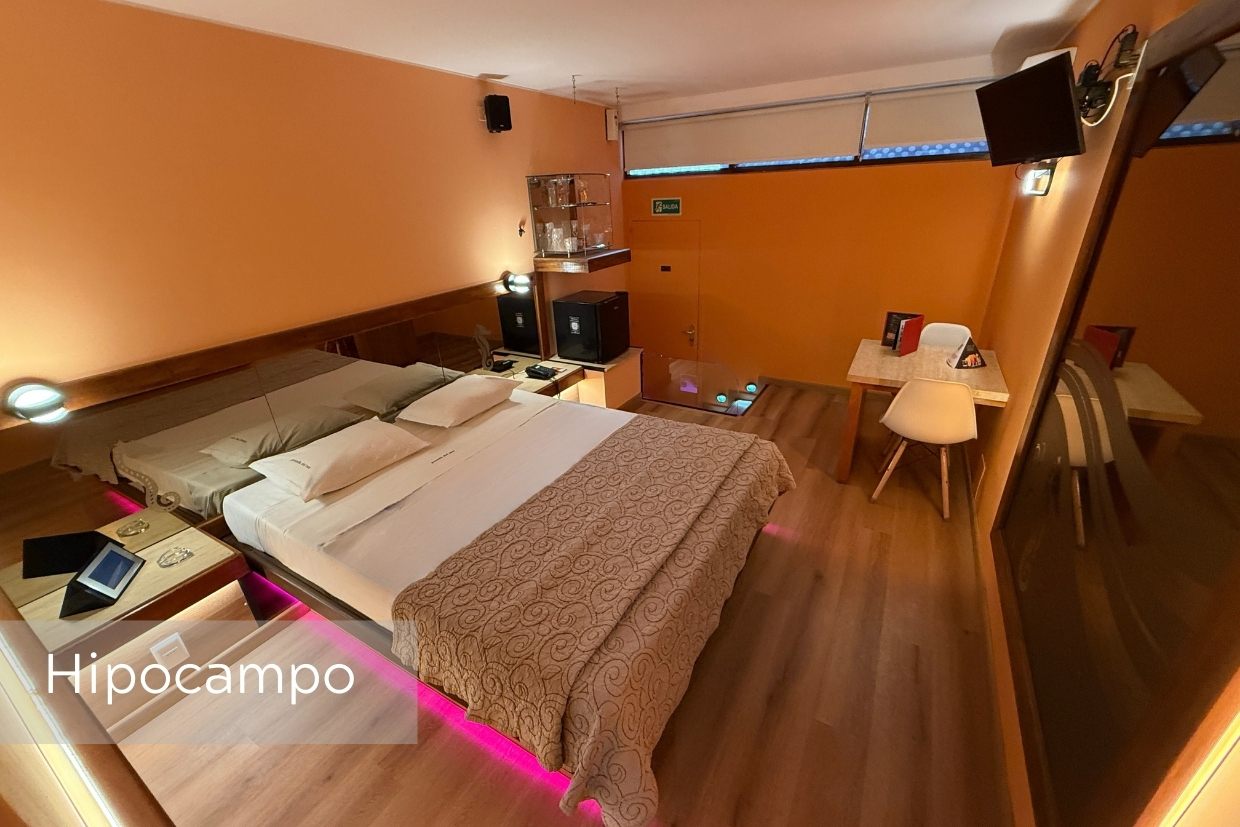Hipocampo-fondo